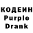 Кодеиновый сироп Lean Purple Drank VILE TELM